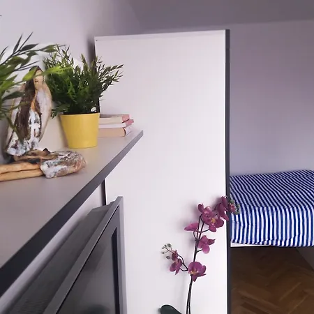 Apartament Apartament Leo