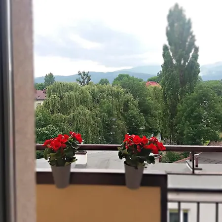 Apartament Apartament Leo Bielsko-Biała
